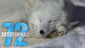 72 Cutest Animals (2016)